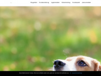 hund-trainieren.net Webseite Vorschau