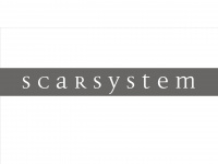 scarsystem.eu Webseite Vorschau