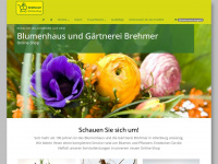 blumenhaus-brehmer-shop.de Webseite Vorschau