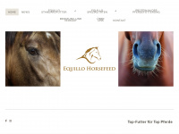 equillo.ch Thumbnail