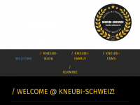 kneubi-schweiz.ch Webseite Vorschau