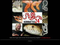 kornnatter24.com Webseite Vorschau