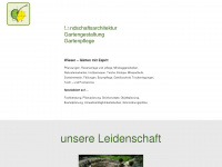andreaswieser.at Webseite Vorschau