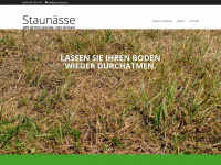 staunaesse.ch Webseite Vorschau