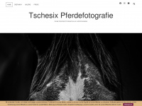 tschesix.com Webseite Vorschau