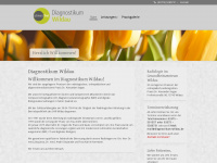 diagnostikum-wildau.de Webseite Vorschau