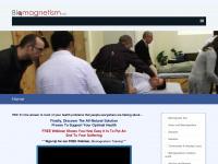 biomagnetism.net Webseite Vorschau