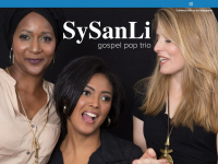 sysanli.de Webseite Vorschau