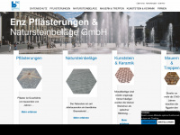 enz-bern.ch Webseite Vorschau