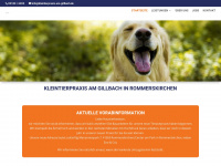 kleintierpraxis-am-gillbach.de Webseite Vorschau