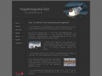 vogelfotografie-sylt.de Webseite Vorschau