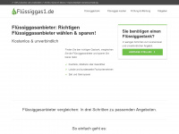 fluessiggas1.de Webseite Vorschau