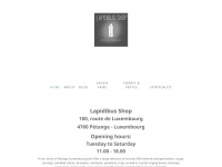 lapidibus-shop.com Webseite Vorschau