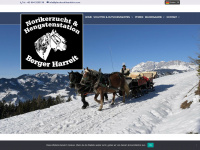 pferdeschlittenfahrt.com Webseite Vorschau
