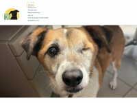 hope-and-home-for-animals.de Webseite Vorschau