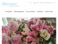 praxis-blaushus.ch Webseite Vorschau