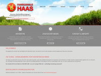 haas-fahrschule.com Webseite Vorschau