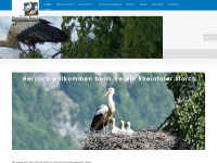 rheintalerstorch.ch Webseite Vorschau