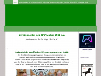 svpocking.com Webseite Vorschau