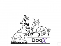 dogx.ch Webseite Vorschau
