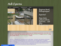 halle-experten-2.weebly.com Webseite Vorschau