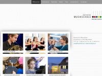 msw-admin.ch Webseite Vorschau