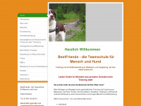 teamschule-menschhund.de Webseite Vorschau