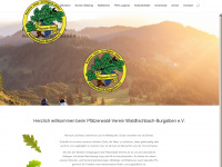 pwv-wfb.de Webseite Vorschau