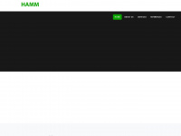 hamm-software.com Webseite Vorschau