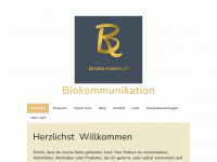 bruno-raess.ch Webseite Vorschau