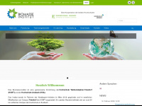 biomasseinstitut.de Webseite Vorschau