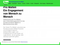 promaetteli.ch Webseite Vorschau