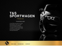 Ts-sportwagen.com
