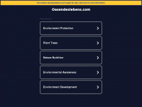oasendeslebens.com Webseite Vorschau