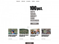 100-pct.com Webseite Vorschau