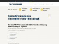 pro-putz.de Webseite Vorschau