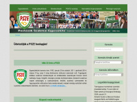 psze.info Webseite Vorschau