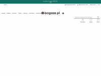 bagaze.pl Webseite Vorschau