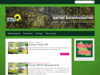 gruene-biebergemuend.de