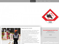 hsg-avers.ch Webseite Vorschau