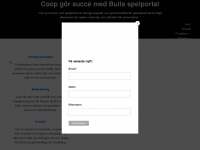 bulls.se Webseite Vorschau