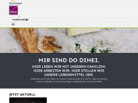 dodihei.ch Webseite Vorschau