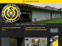 svwaldhausen.de Webseite Vorschau
