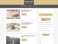 hotels-in-gent.nl Webseite Vorschau