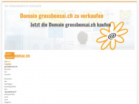 grossbonsai.ch Webseite Vorschau