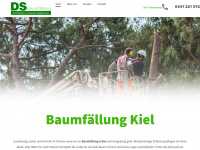baumfaellung-kiel.de Webseite Vorschau