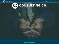 consulting-co.de Webseite Vorschau