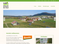 hofamstei.ch Webseite Vorschau
