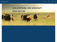 colostrum-experte.de Webseite Vorschau