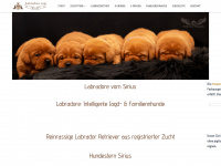 Labradore-vom-sirius.com